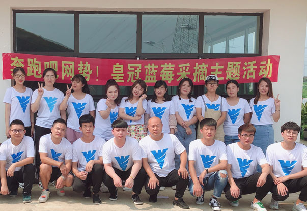 【奔跑吧網(wǎng)勢(shì)！】藍(lán)莓采摘主題團(tuán)建活動(dòng)